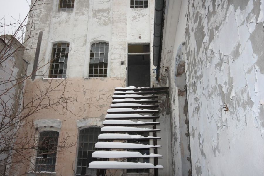 IMG 3830.JPG